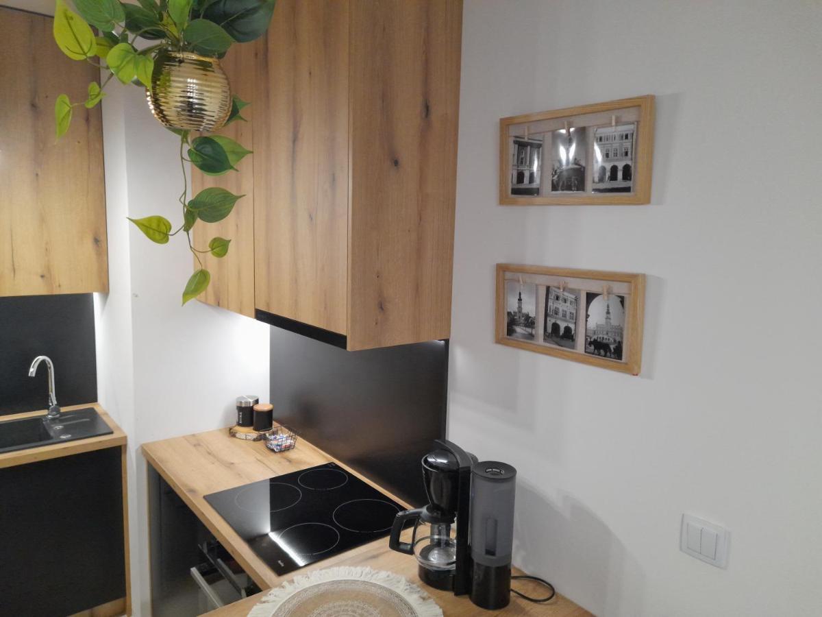 Apartament Amelia Zamość Екстериор снимка
